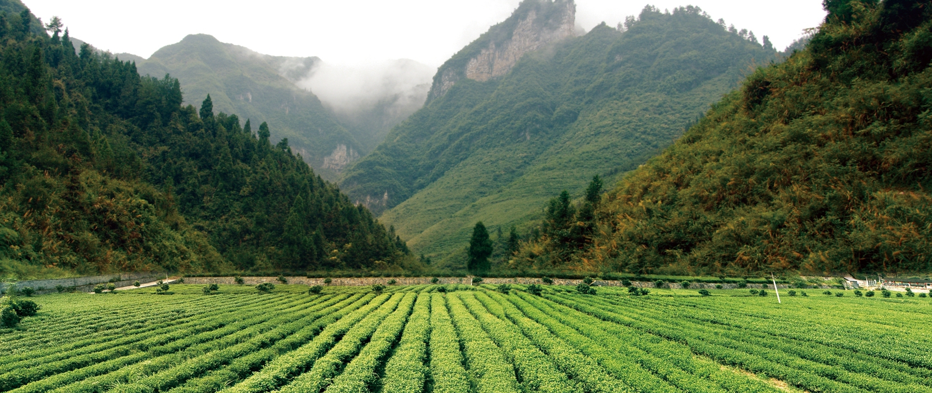 �ط�888(Ψһ)�ٷ���վ