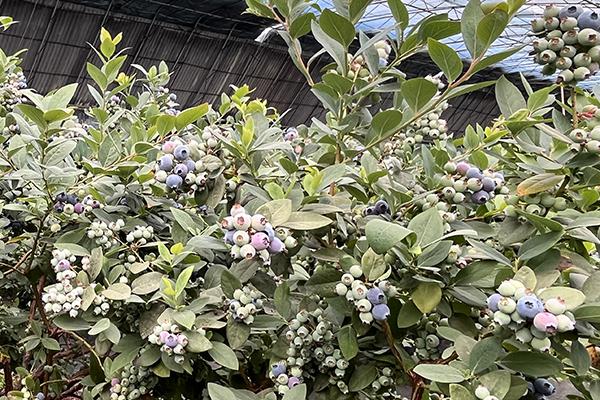 �ط�888(Ψһ)�ٷ���վ