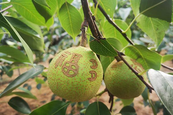 �ط�888(Ψһ)�ٷ���վ