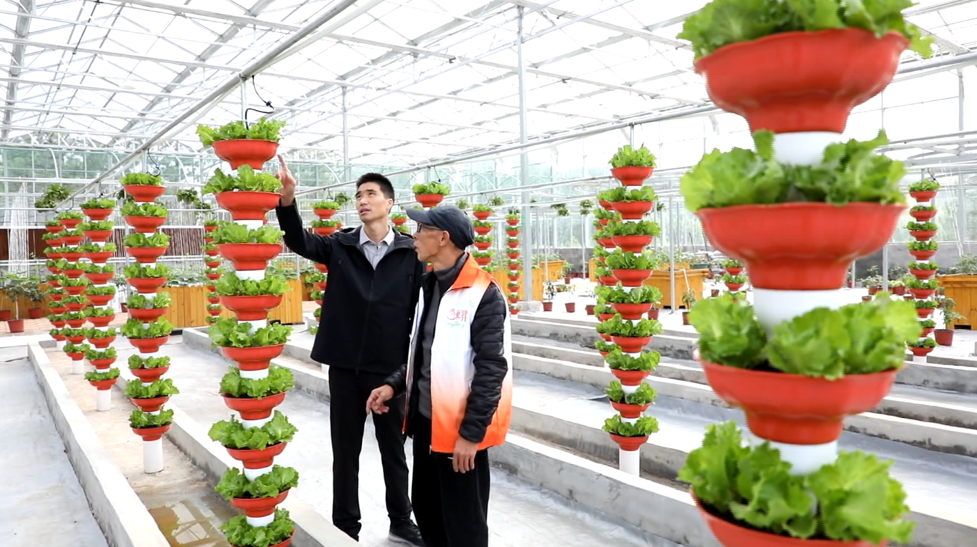 2025032510362219001 必发888(唯一)官方网站